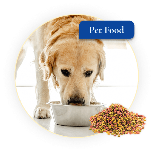 All About Pet Food