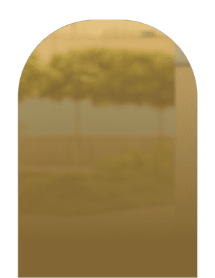 Profile picture of Anna D. Carlson (Wilkinson)