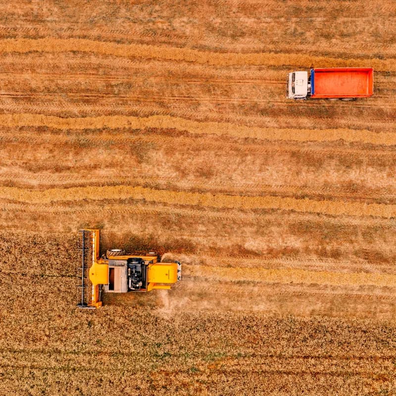 Background image for Rendering Worldwide