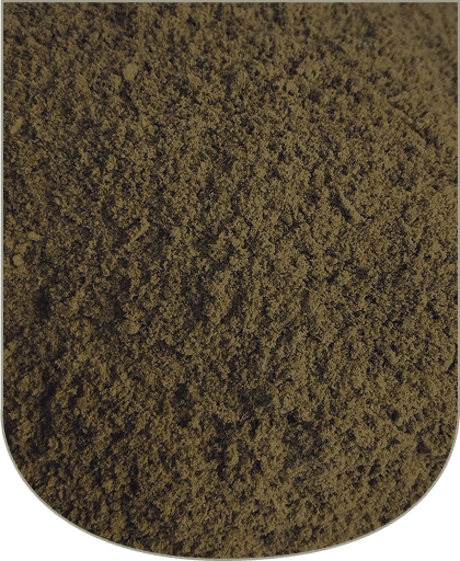 Illustration Animal Protein