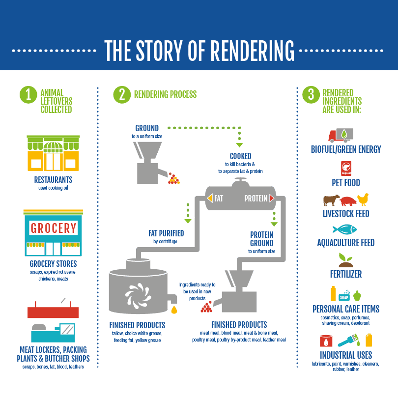 The Story of Rendering