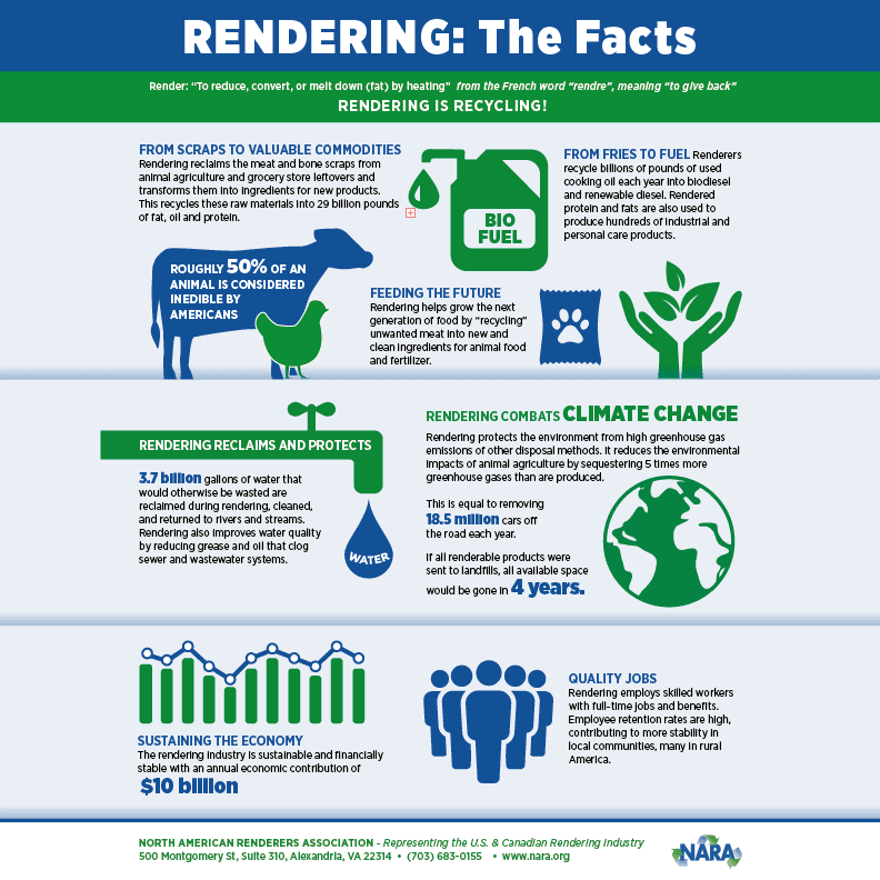 Rendering: The Facts