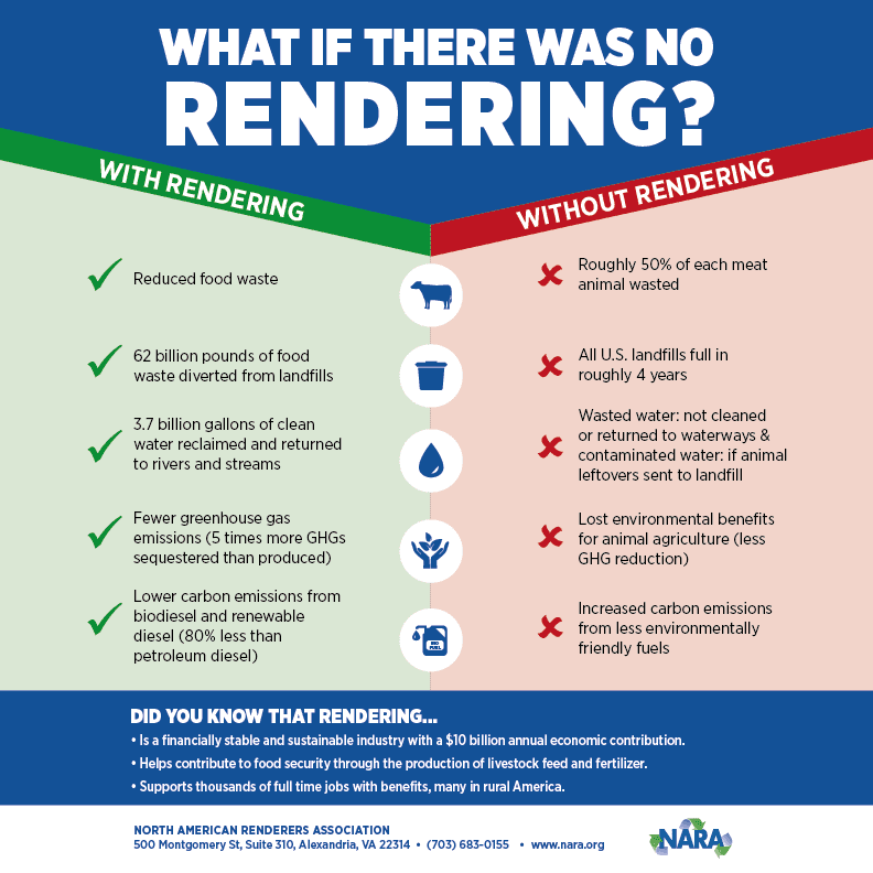 What If There Was No Rendering?