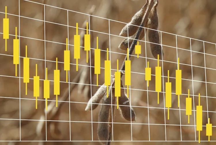 Soybeans Close Down 9¢ | Tuesday, Dec. 16, 2025